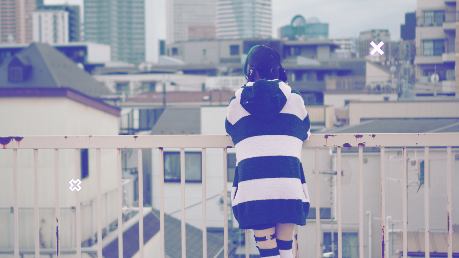 動画を読み込む: 